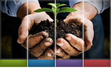 Colabora con nosotros