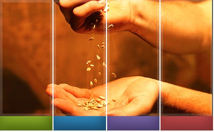 Promoción de Cursos y formación