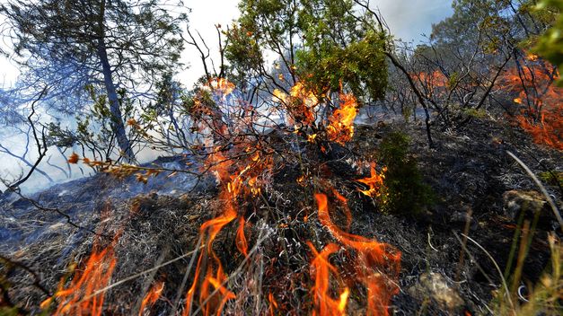 Imágenes del incendio de Valencia